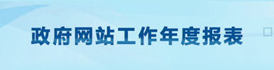 政府网站工作年度报表